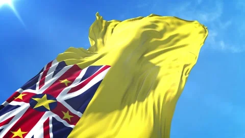 Niue Flag Low Angle View Stock Footage 295694200