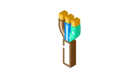 Nm nonmetallic cable wire isometric icon animation Stock Footage 327294662