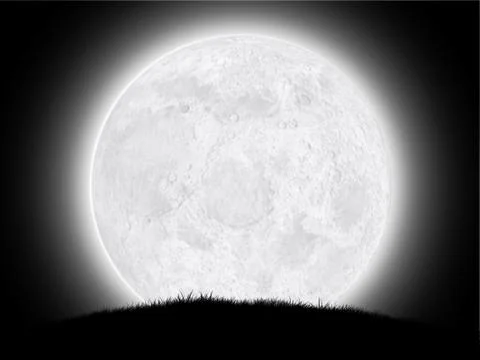 NM001.jpg Stock Illustration