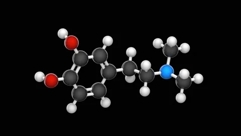 N,N-Dimethyldopamine (DMDA). Seamless loop. RGB + Alpha (Transparent) channel. Video stock 154418177