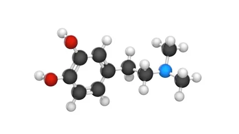 N,N-Dimethyldopamine (DMDA). Seamless loop. White background Stock Footage 154418187