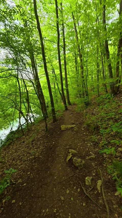 No animals or humans visible. Grza River Spring, Serbia. Vertical Stock Footage 334468946