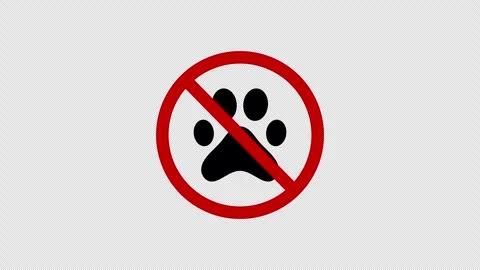 No Animals Sign Animation. Dynamic Warning Symbol Stock Footage 302496670