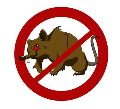 No big rats Illustrazione stock