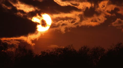 NO BIRDS, 4K res-n, The picturesque sunset (sunrise) above forest, strong zoom Stock Footage 41392553