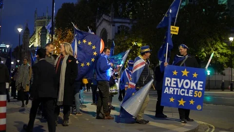 No BREXIT for these Pro EU supporters at night 4K Stock Footage 122236615