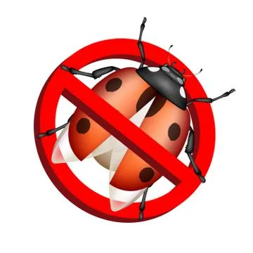 No bug prohibition sign vector on white background Stock Illustration