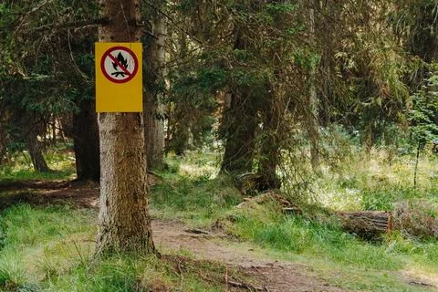 A no campfire sign marks a protected conifer forest in Kopaonik, Serbia. Fire Stock Photos