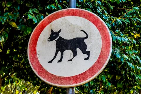 No Cats allowed Stock Photos