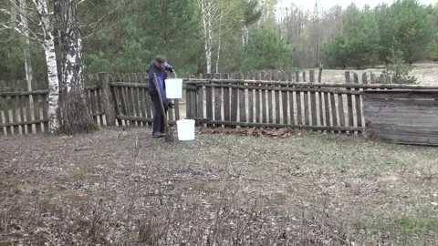 No-dig garden bed preparation. Man covering compost made of autumn leaves l.. Video stock 343717478