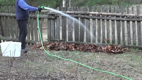 No-dig garden bed preparation. Man watering compost made of autumn leaves l.. Video stock 343718487