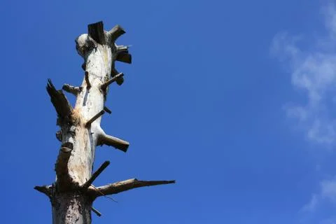 No Direction Stock Photos