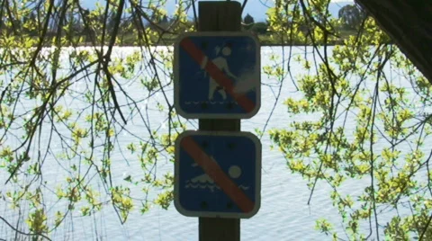 No diving sign  Video stock 352210