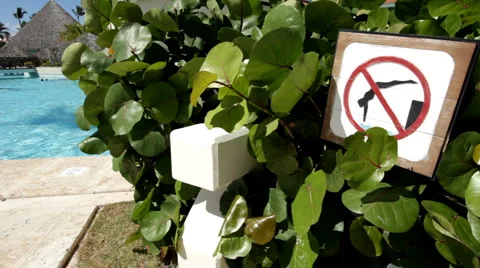 No diving sign at swimming pool Stock Footage 5502658