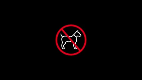 No Dog Allowed Sign with Pet Symbol Inside Red Circle and Diagonal Line Rep.. 스톡 동영상 340601246