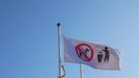 No Dogs Allowed On The Beech By Order Stock Footage 314982093