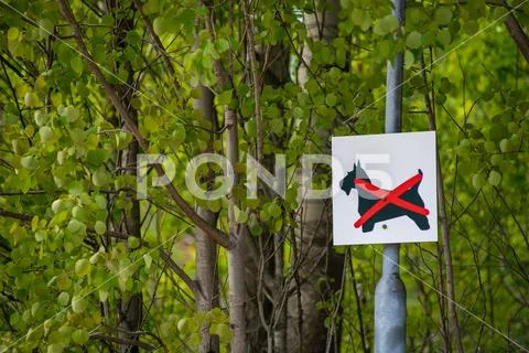 No dogs allowed Stock Photos