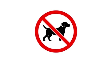 No dogs allowed sign animation video Stock Footage 330497983