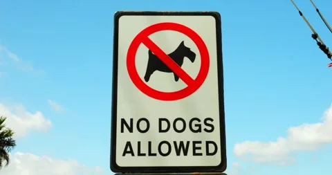 No Dogs Allowed warning on large rectangular street sign set against clear sky Vídeos de archivo 317825848
