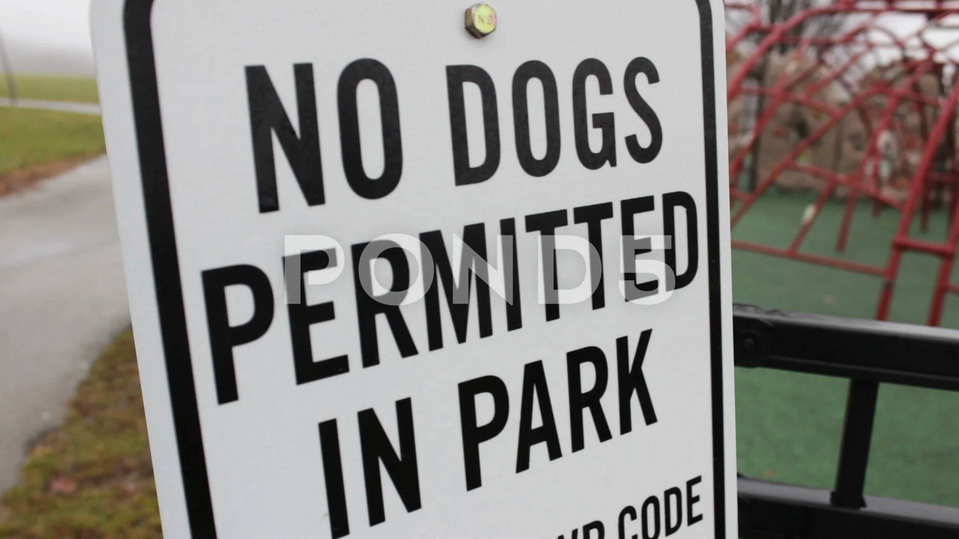 are dogs permitted in park