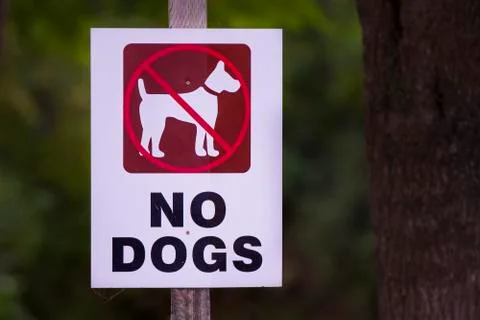 No dogs Stock Photos