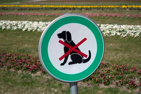 No dogs Stock Photos