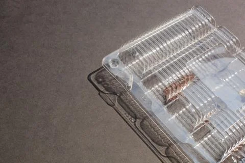 No Eclair in standard plastic packing box Stock Photos