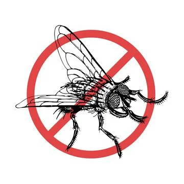 No fly icon vector sketch. Flying insect hand drawn. Vintage black and white  스톡 일러스트