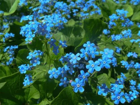 No forgetting Stock Photos