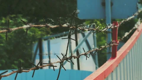 No-Go Zone Barbed Wire in the Spiderweb Stock Footage 317596780