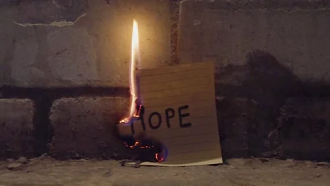 No Hope Video stock 220002414