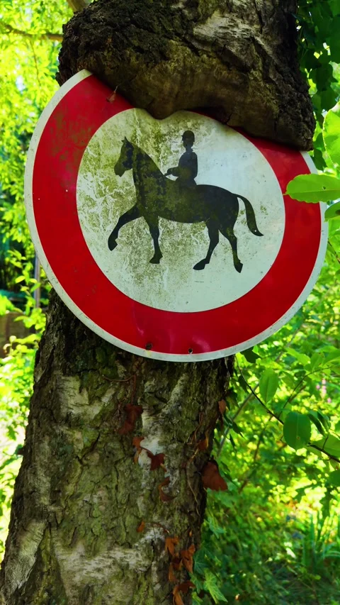 No horses sign on tree in forest Stock Footage 341377320
