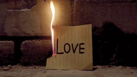 No Love Video stock 220002447