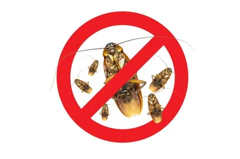 No More Group Cockroach icon ,Sign and dead of a cockroach,Isolated on a wh.. Stock Photos