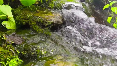 No motion shot in real time of a tiny water stream in the croatian national p Video stock 131869325