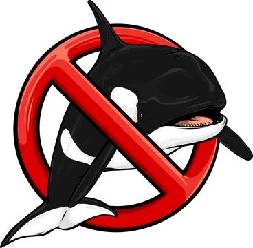 No orca sign icon vector illustration on white background Stock Illustration