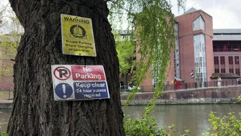 No Parking Warning Sign on Tree – Clamping Enforcement Notice Static Shot Stock-Footage 332162945