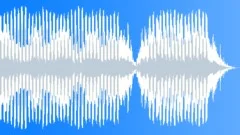 No Password 30 Stock Music