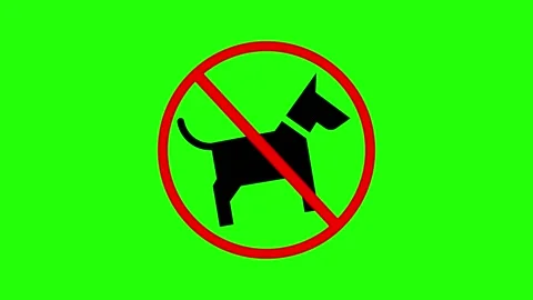 No Pet Dogs Allowed Icon Sign or Symbol Animation on Green Background Stock Footage 236417298