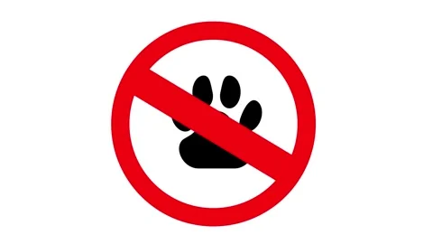 No pets allowed in the area warning round sign animation Stock Footage 241835966