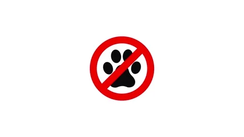 No pets allowed red sign icon animation isolated on white background Stock Footage 346201850