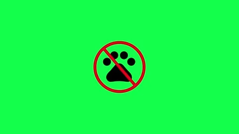 No pets allowed sign animation on green background. No pets allowed in the .. Stock Footage 340601244