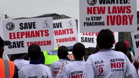 No Poaching manifestation Stock Footage 79158948