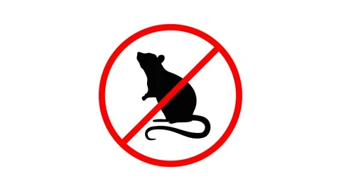 No Rats Allowed - A Clear Sign of Rodent Control and Pest Prevention. Stock Footage 340023857