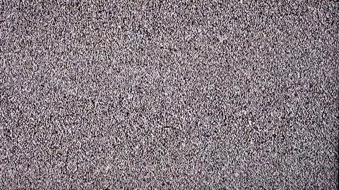 No signal background Stock Footage 83936391