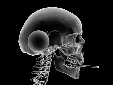 No smoking Stock Illustration