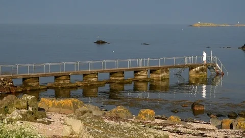 No swim today Stock Footage 90841286