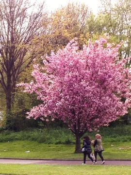 No time for spring Foto stock