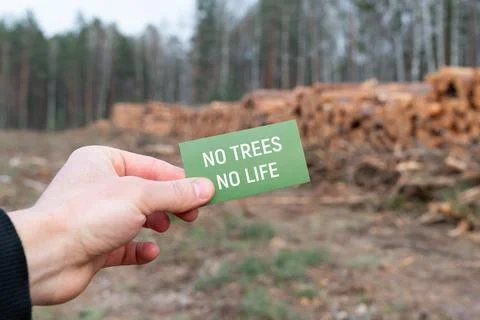 No trees no life message with deforestation background Stock Photos