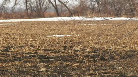 No-trespassing Stock Footage 10709574
